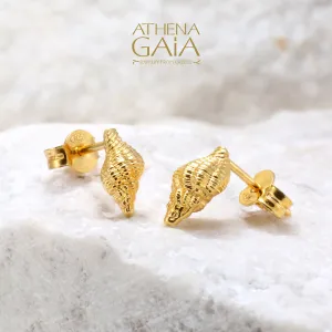 14k Gold Conch Shell Post Earrings