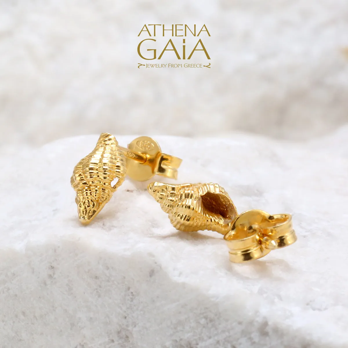 14k Gold Conch Shell Post Earrings