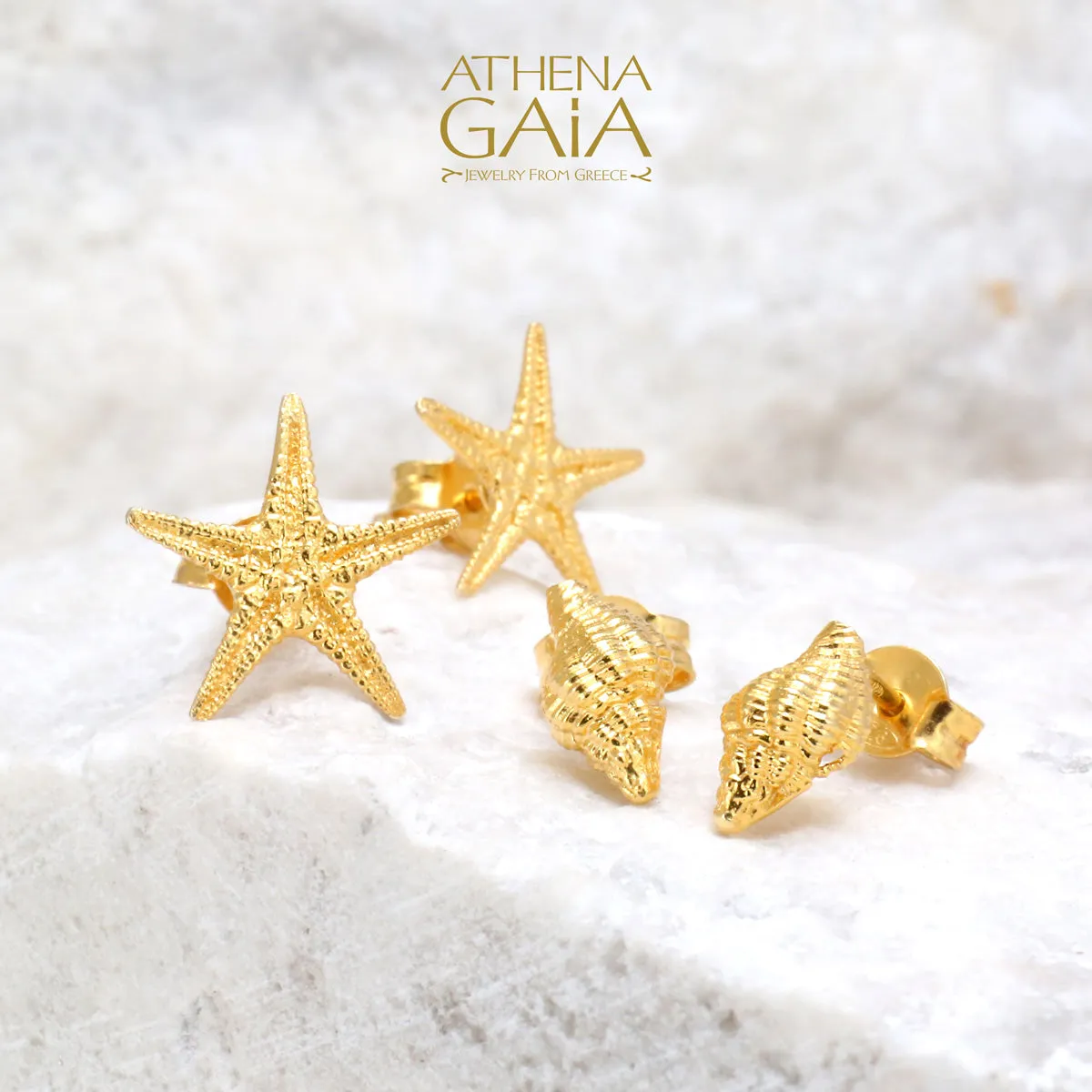 14k Gold Conch Shell Post Earrings