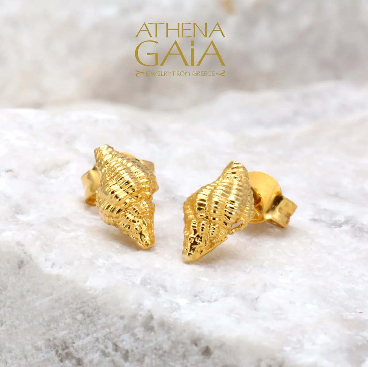 14k Gold Conch Shell Post Earrings