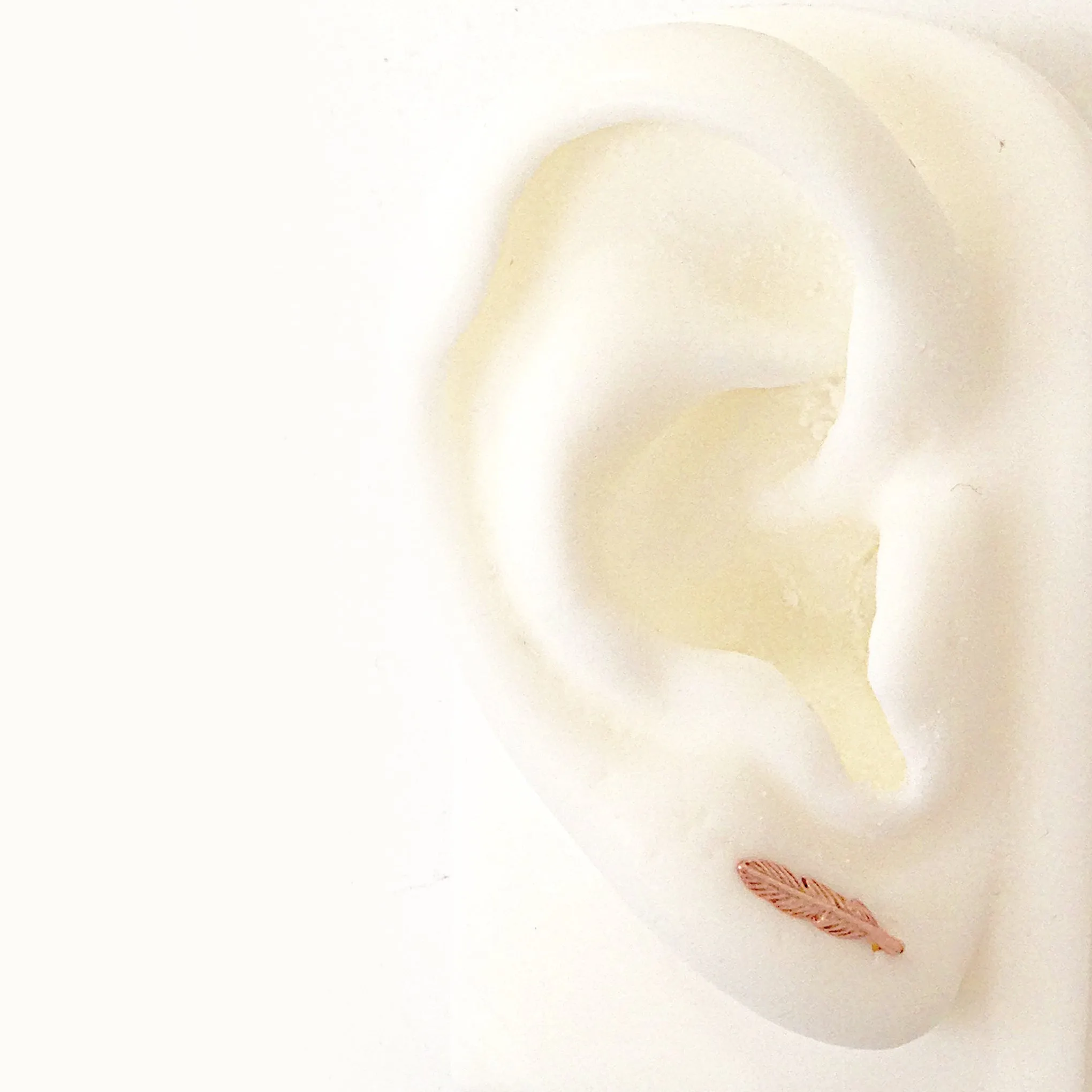 14K Gold XS Feather Stud Earring