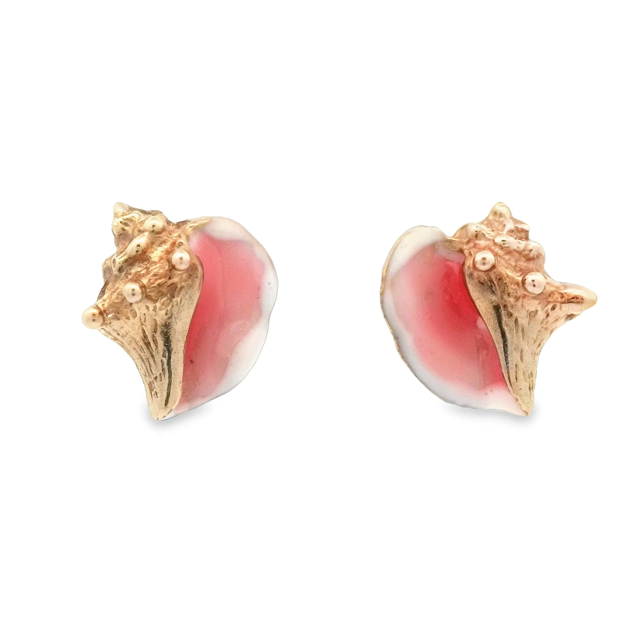 14k Yellow Gold Enamel Conch Post Earrings