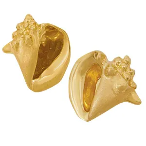 14k Yellow Gold Medium Conch Earrings with Omega Back