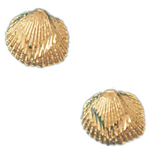 14k Yellow Gold Shell Stud Earrings