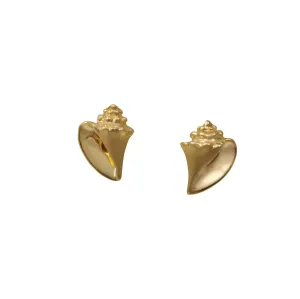 14k Yellow Gold Small Conch Earrings