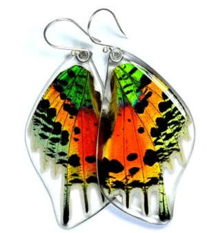 Butterfly Wing Earrings- Sunset Moth Bottom Wing