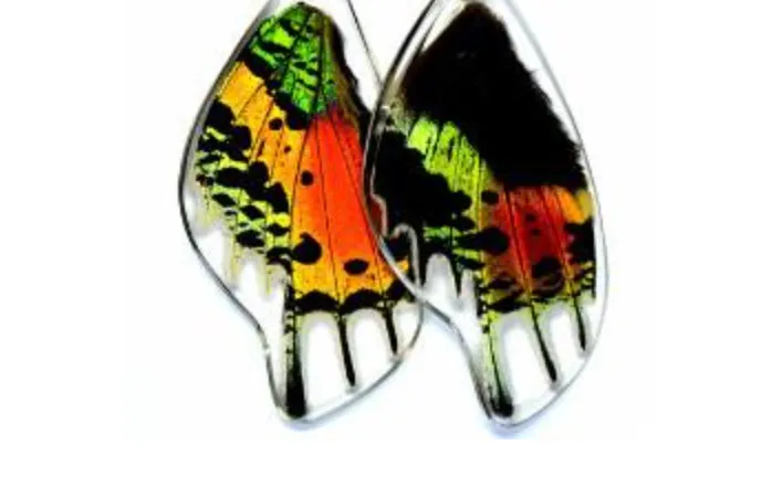 Butterfly Wing Earrings- Sunset Moth Bottom Wing