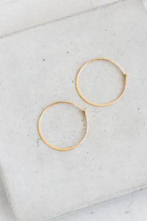 Concentric Simple Hoops