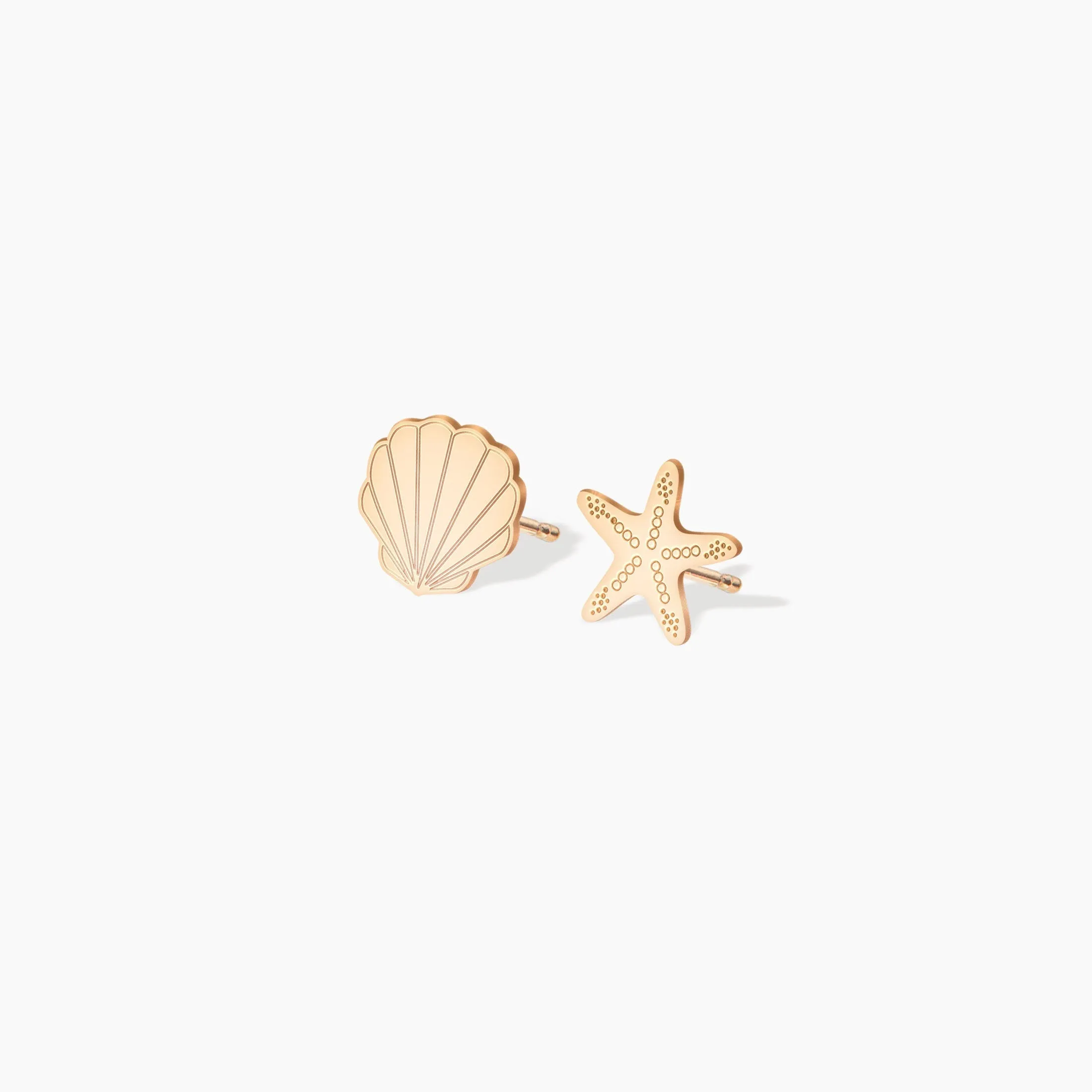 Cute Shell