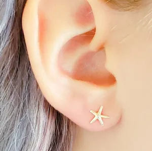 Delicate Starfish Studs