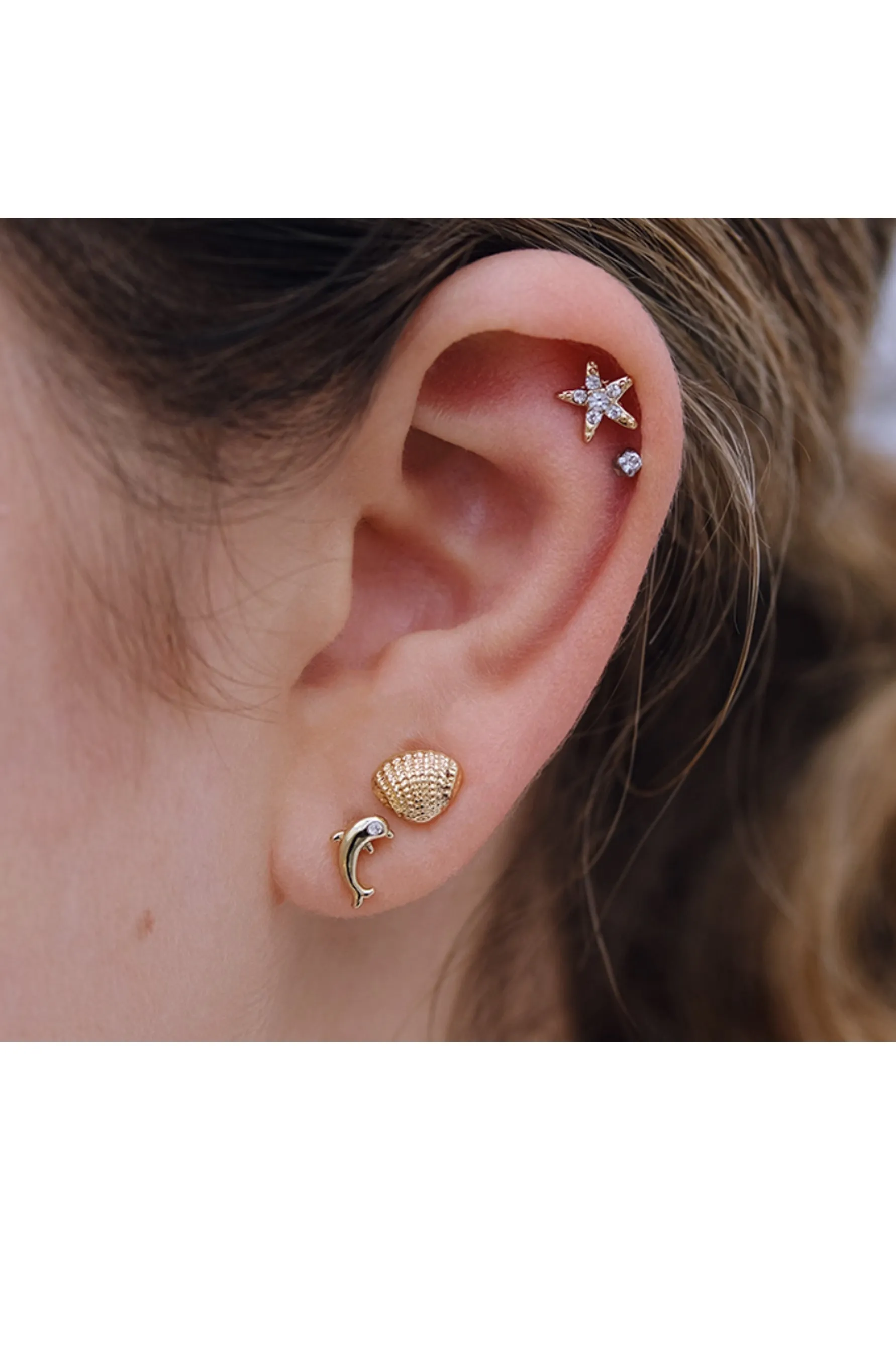 EURO 53370 Shell   Dolphin   Starfish Trio