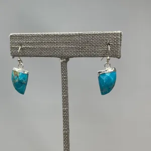 Faceted Turquoise Earrings 220-51 | Erika Williner Designs