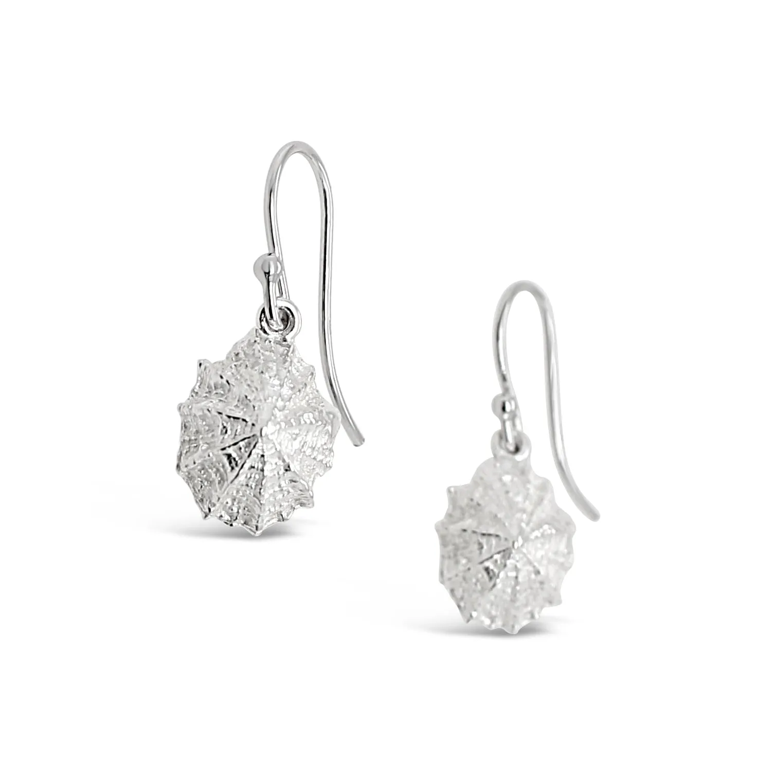 Limpet Shell Earrings