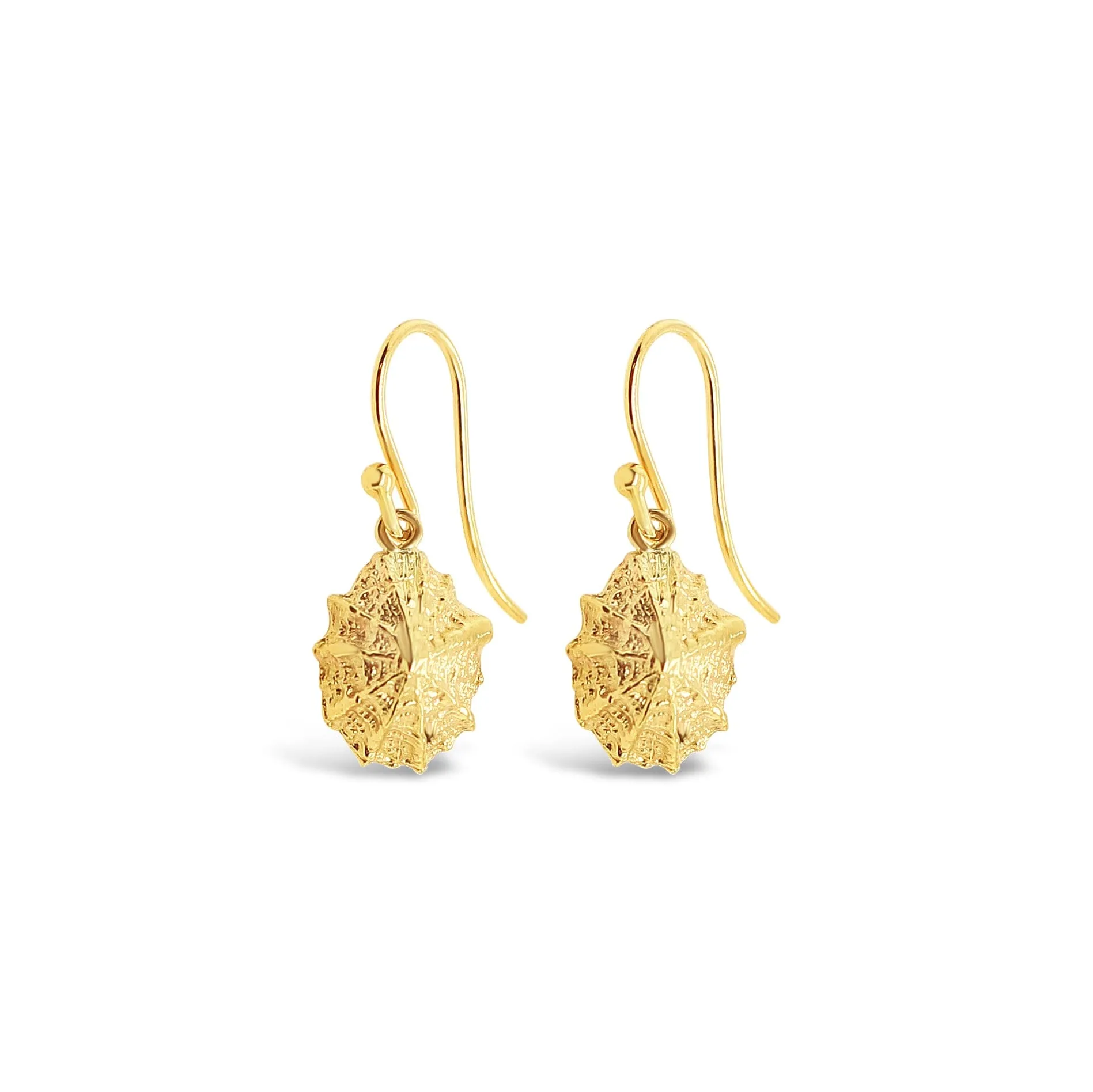 Limpet Shell Earrings