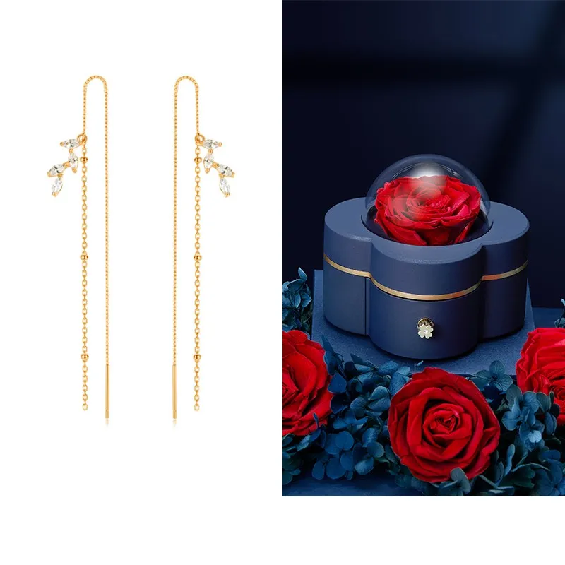 Long Tassel Earrings With Niche Design And Temperament In Sterling Silver For Women