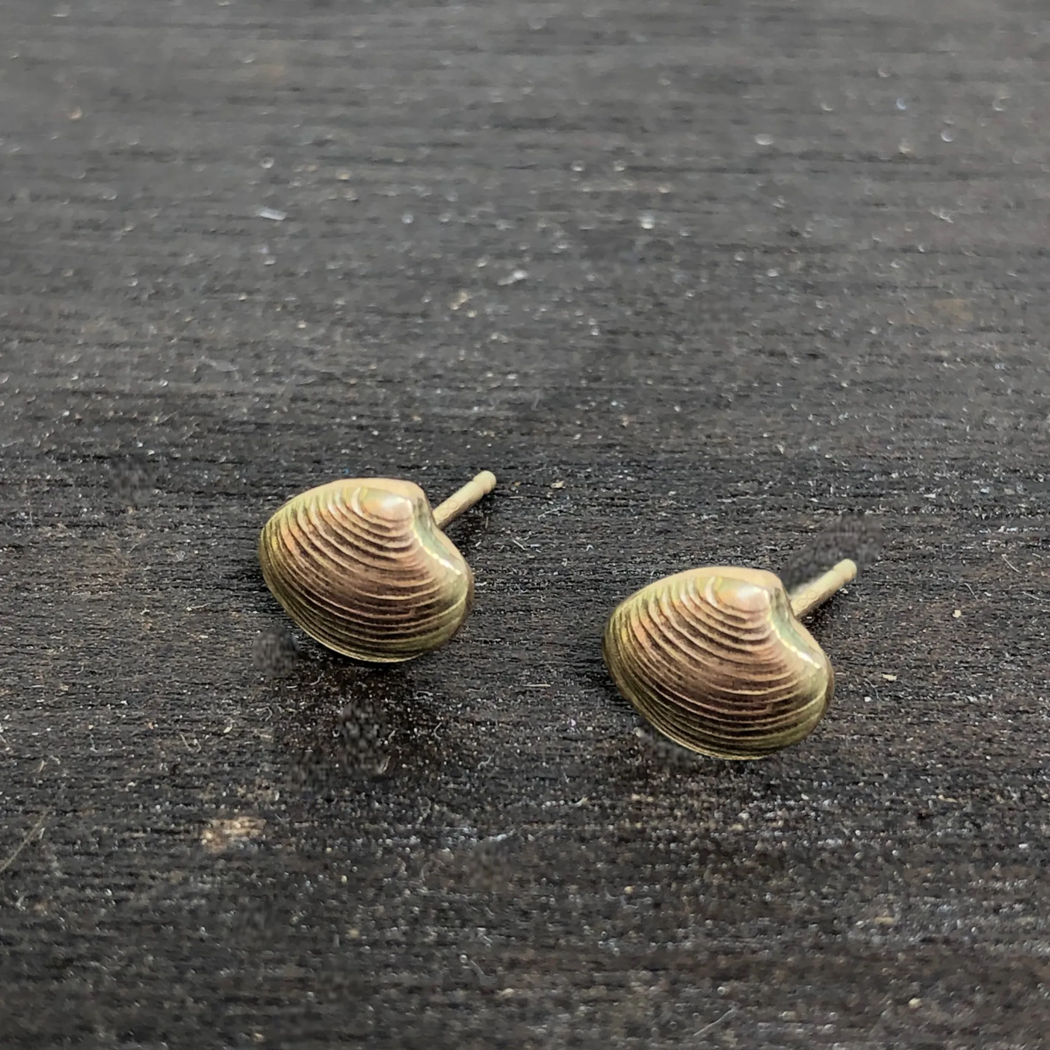 Lucina shell earrings