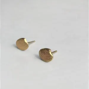 Lucina shell earrings