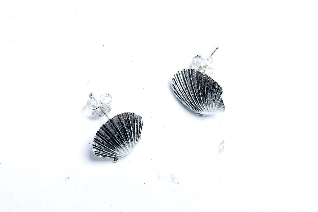 Mini Sea Shell Stud Earrings