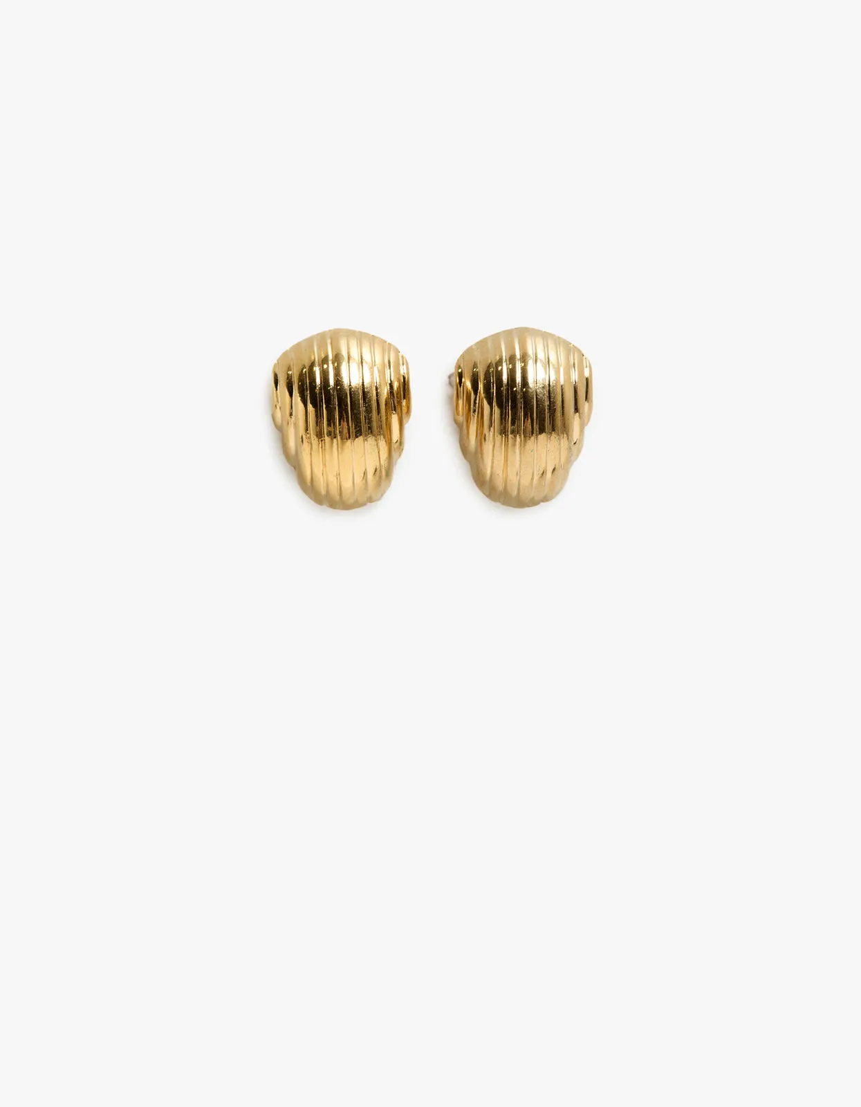 Palmer Shell Earrings - Gold Plated