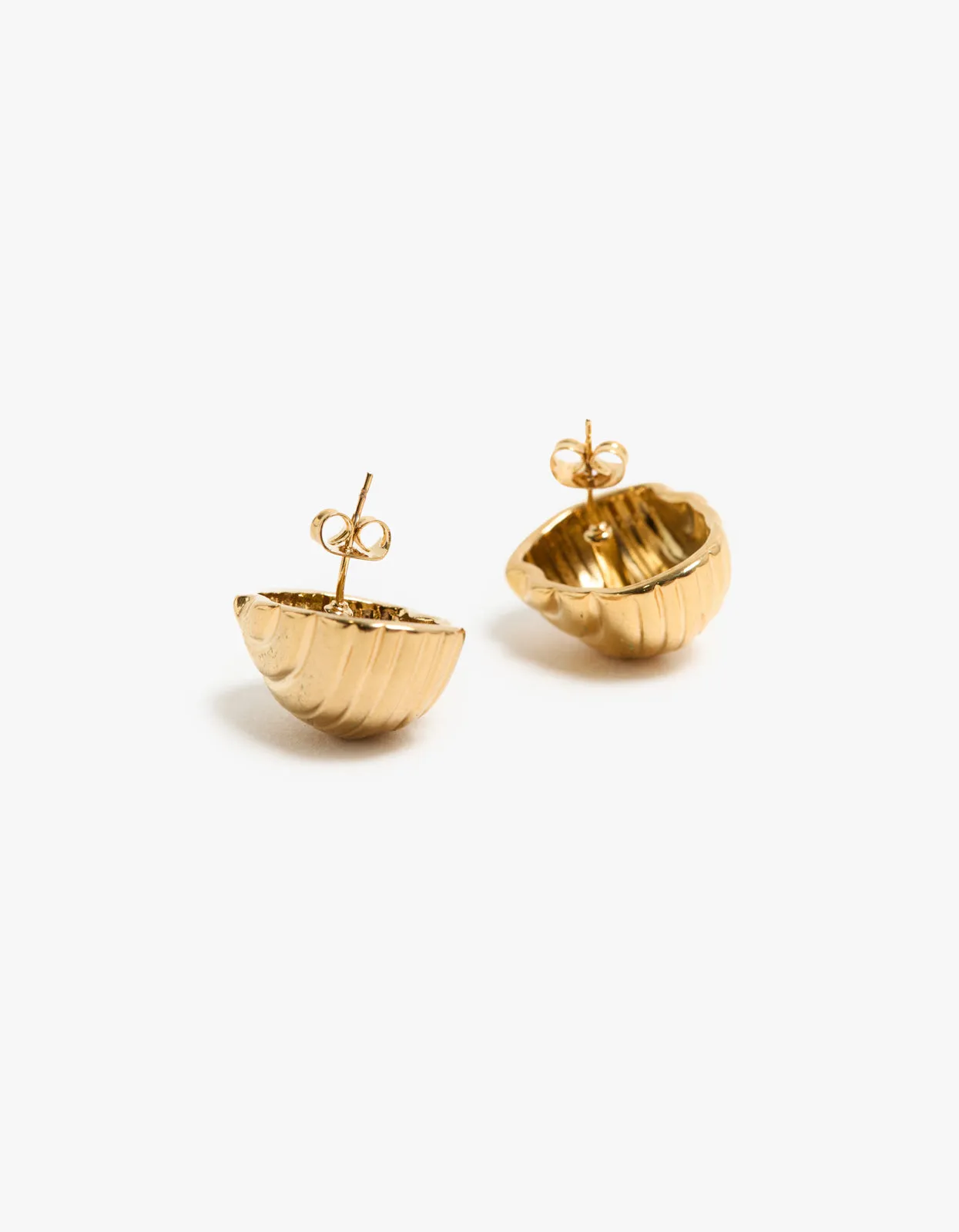 Palmer Shell Earrings - Gold Plated