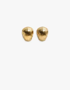 Palmer Shell Earrings - Gold Plated