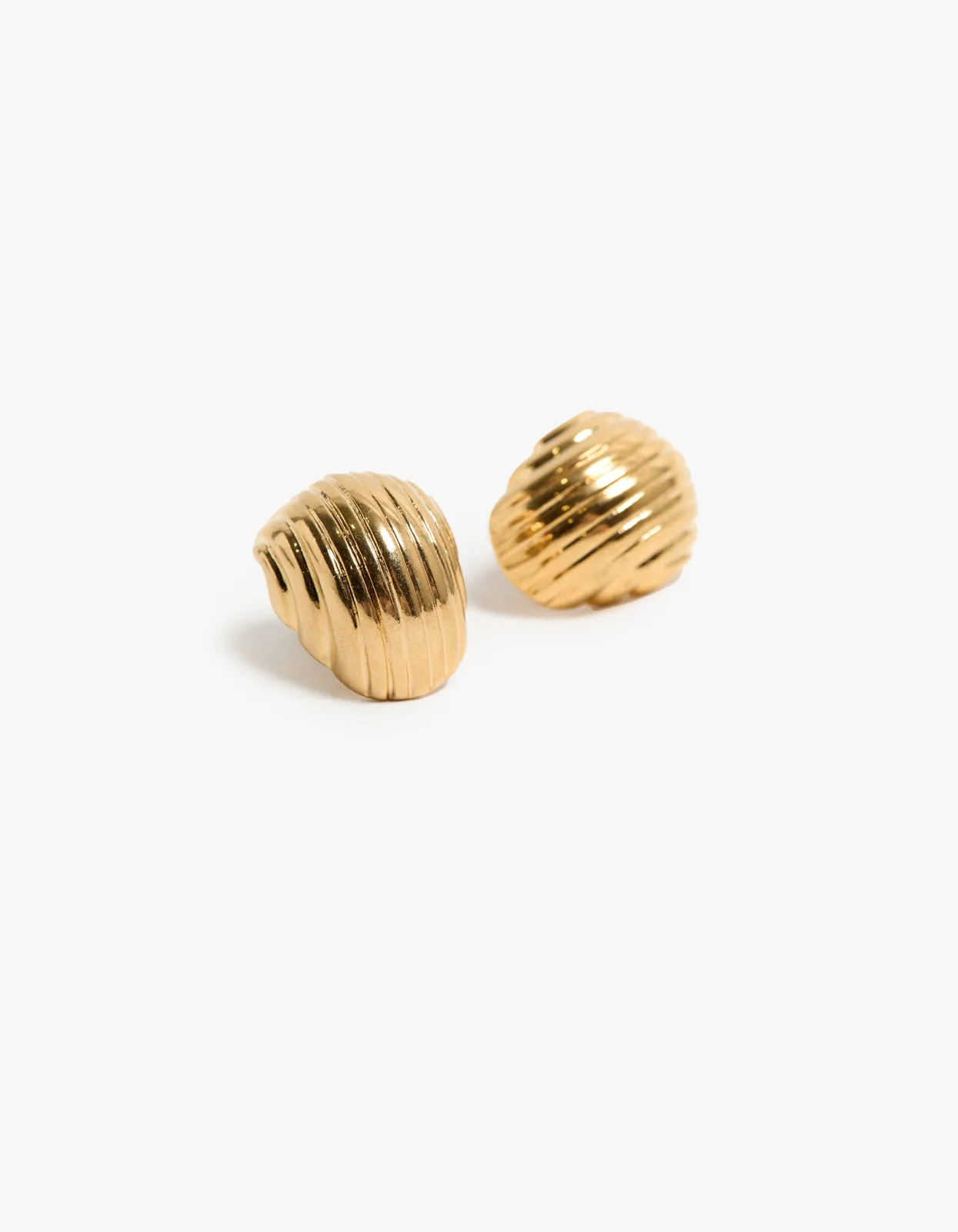 Palmer Shell Earrings - Gold Plated