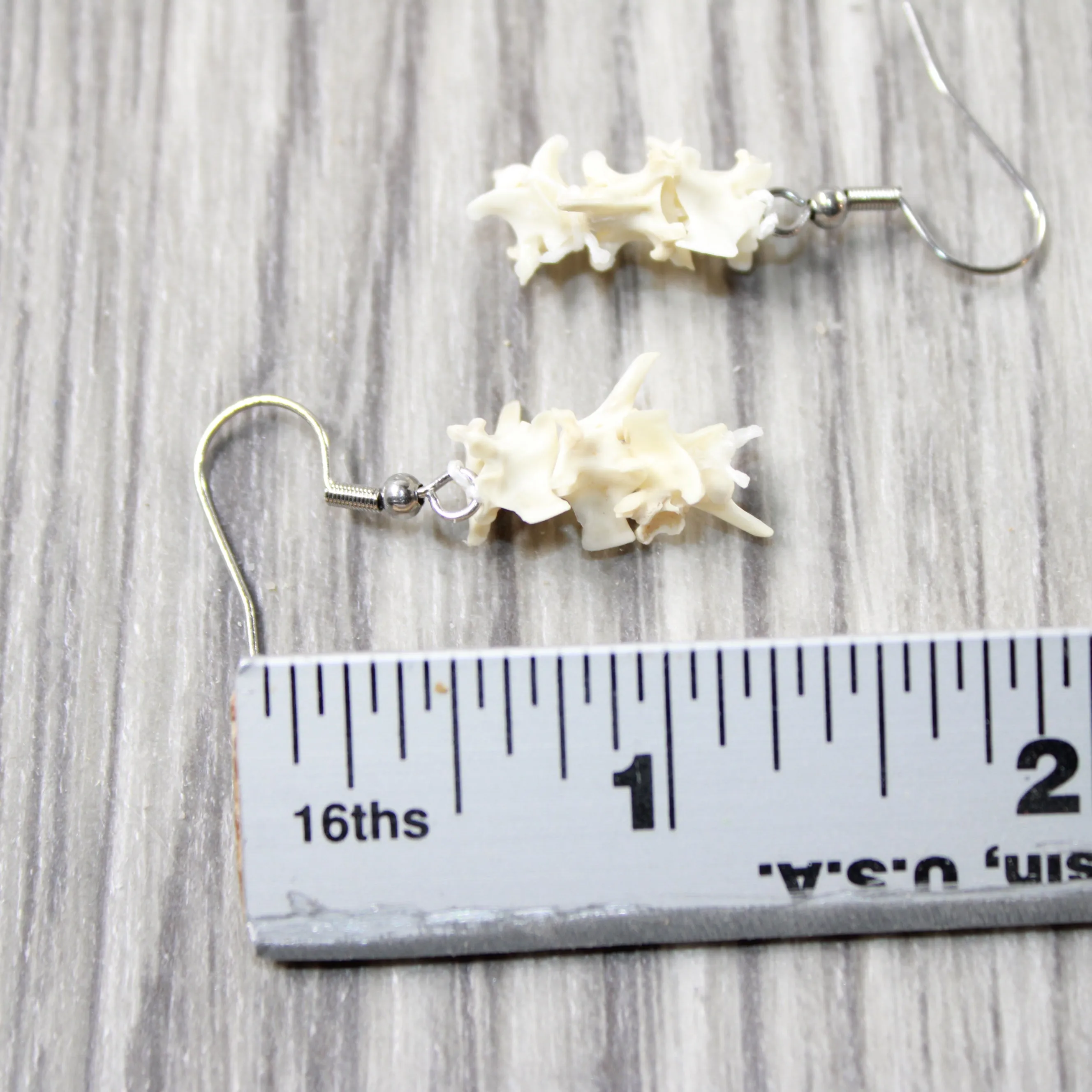 Rattlesnake Vertebrae  Earrings  #4952  Mountain Man Earrings