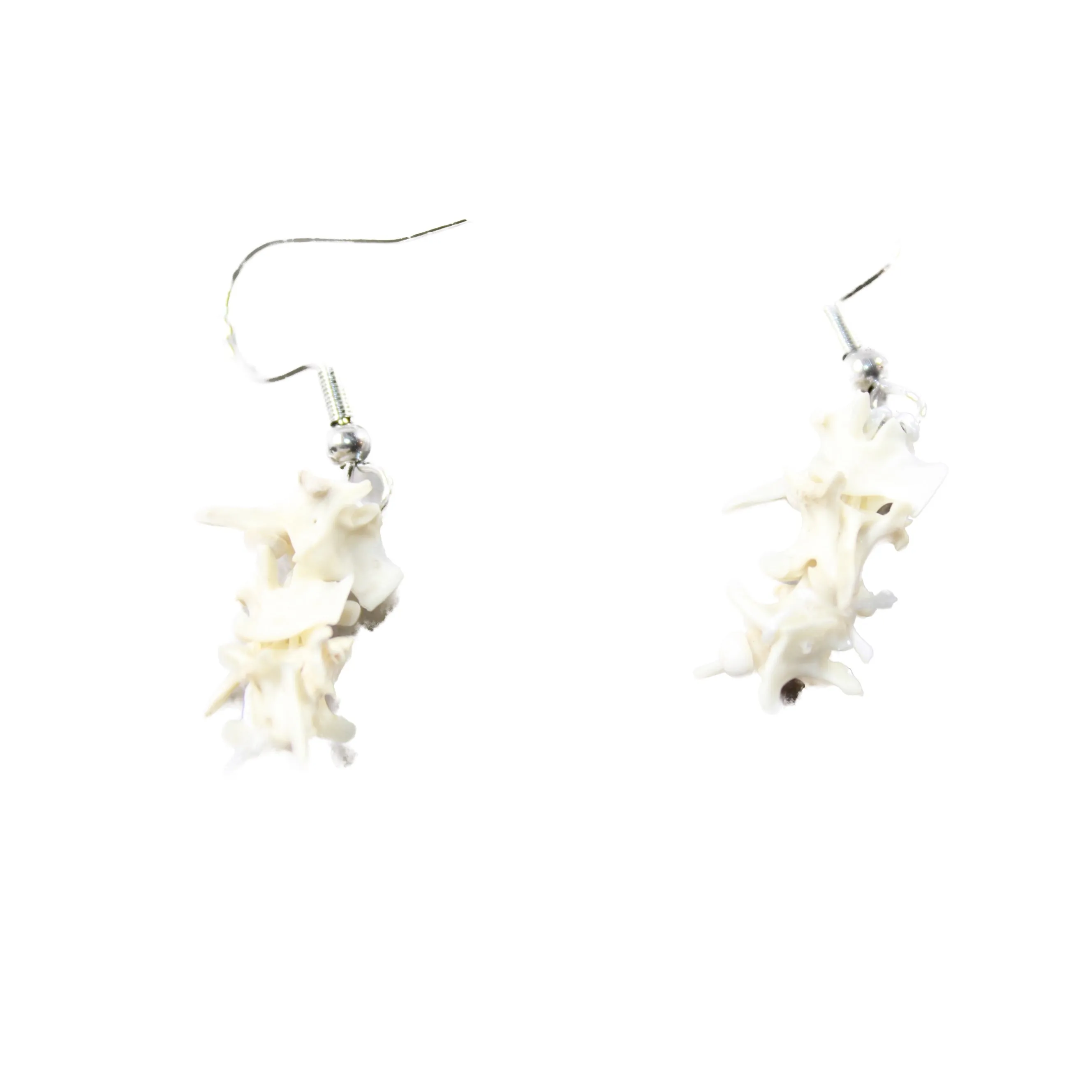 Rattlesnake Vertebrae  Earrings  #4952  Mountain Man Earrings