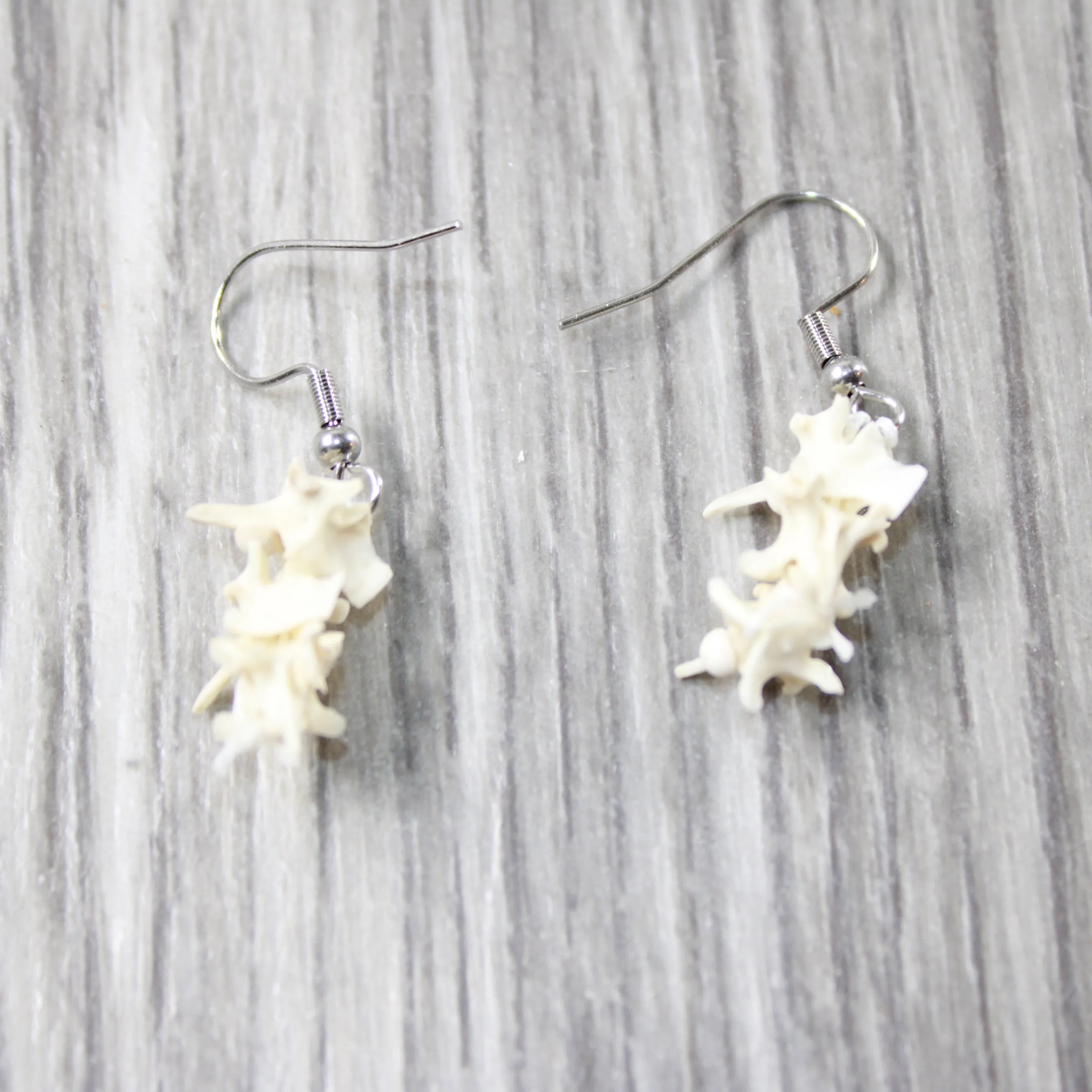 Rattlesnake Vertebrae  Earrings  #4952  Mountain Man Earrings