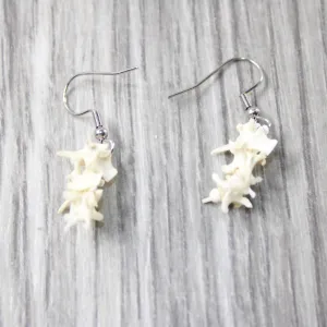 Rattlesnake Vertebrae  Earrings  #4952  Mountain Man Earrings