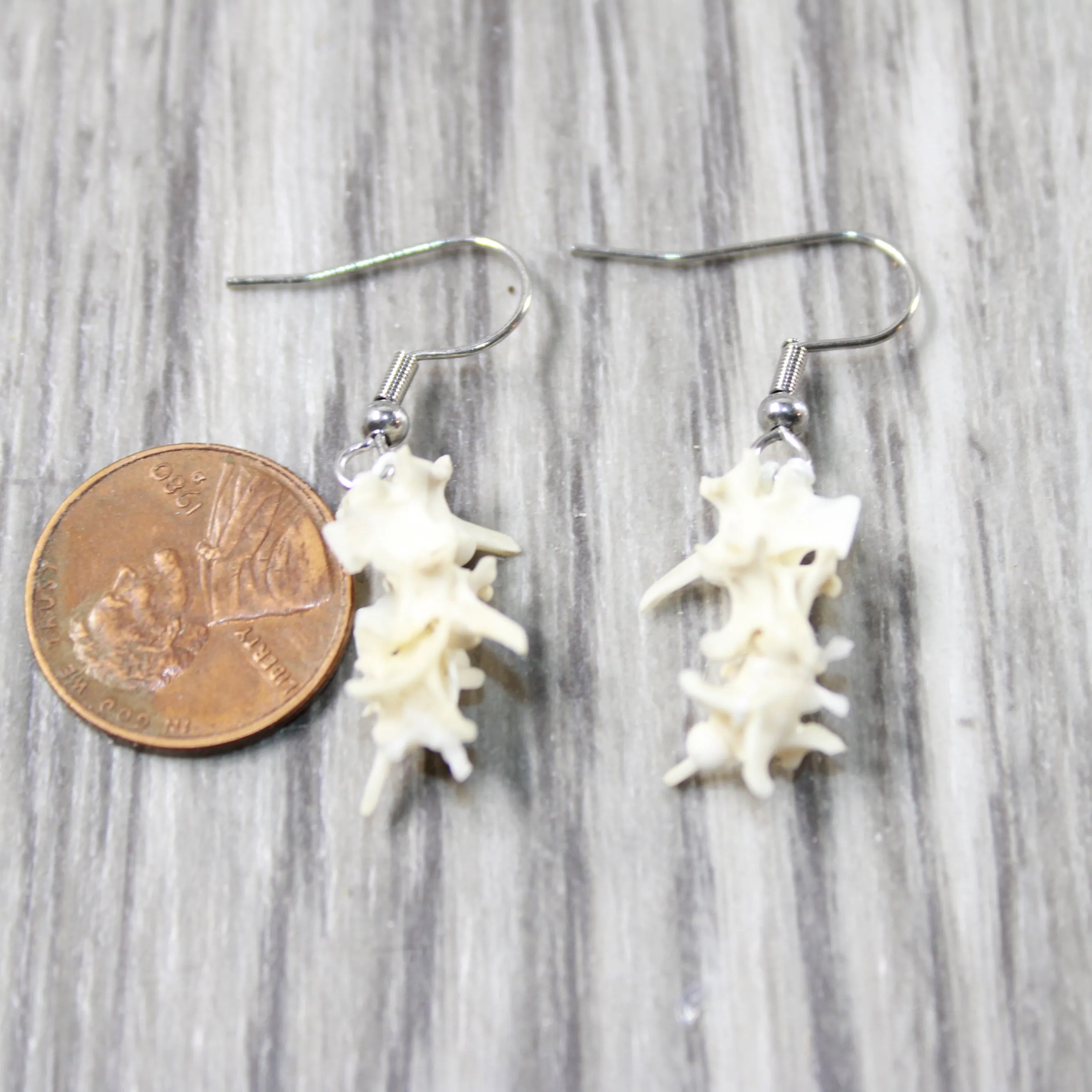 Rattlesnake Vertebrae  Earrings  #4952  Mountain Man Earrings