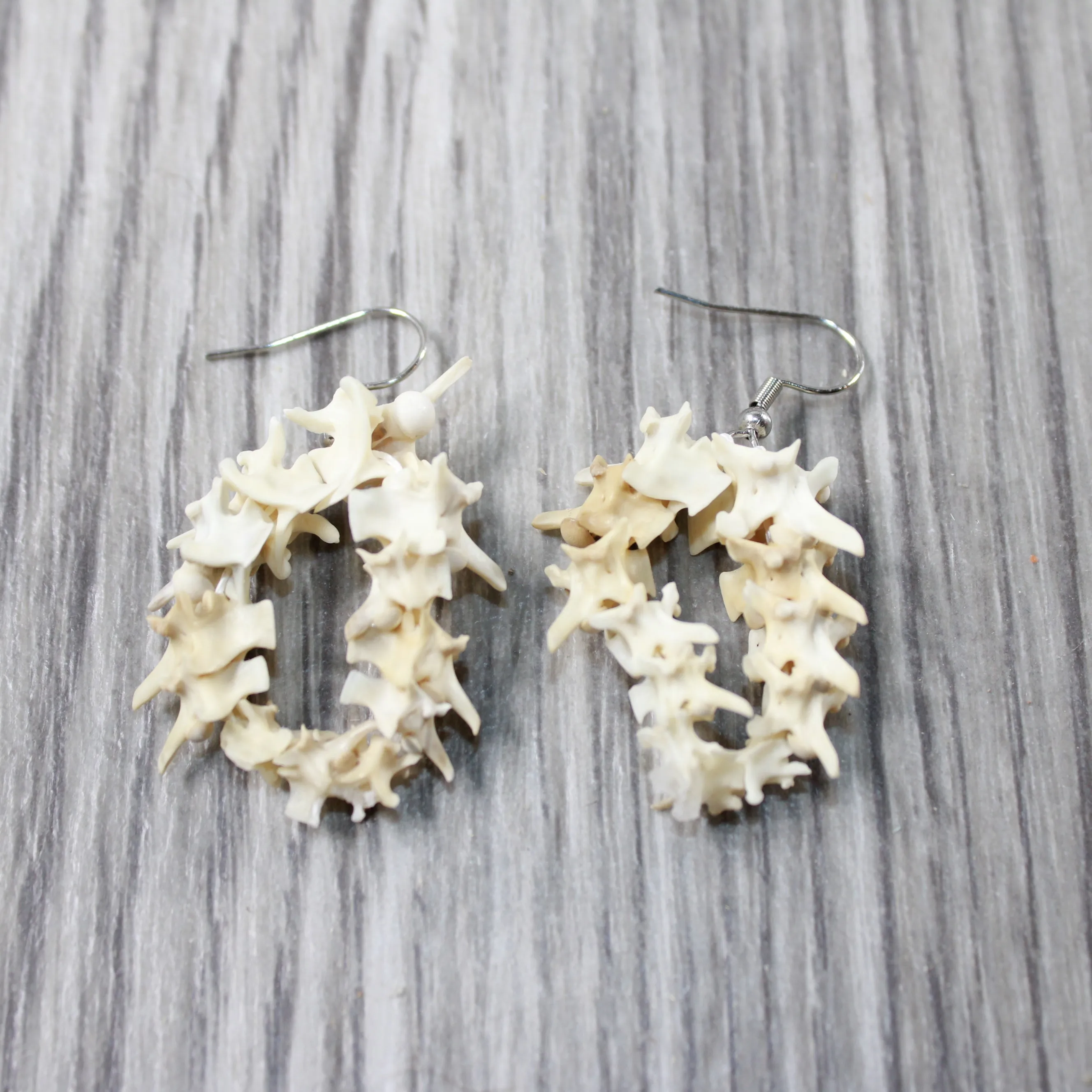 Rattlesnake Vertebrae Hoop Earrings  #4552  Mountain Man Earrings