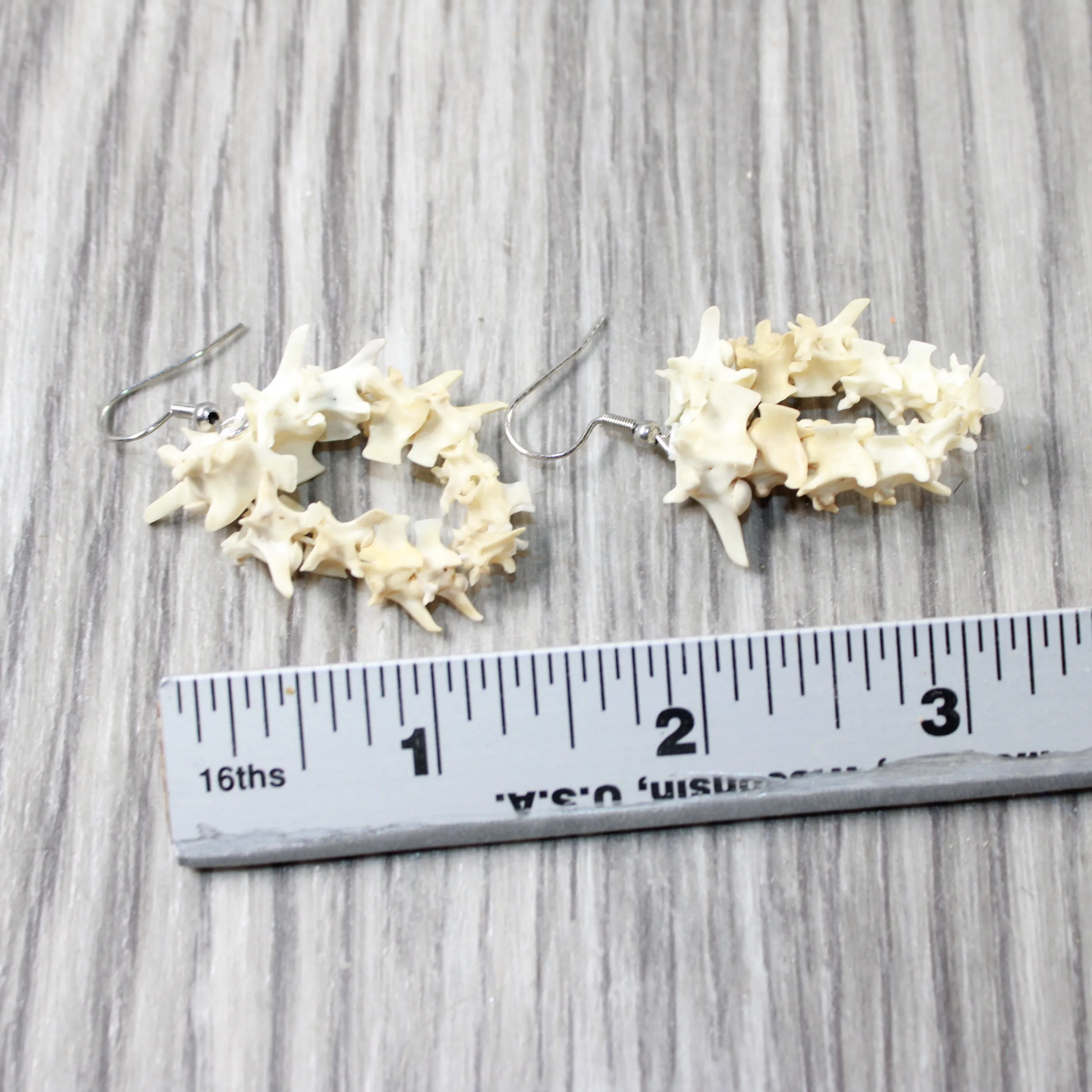 Rattlesnake Vertebrae Hoop Earrings  #4552  Mountain Man Earrings