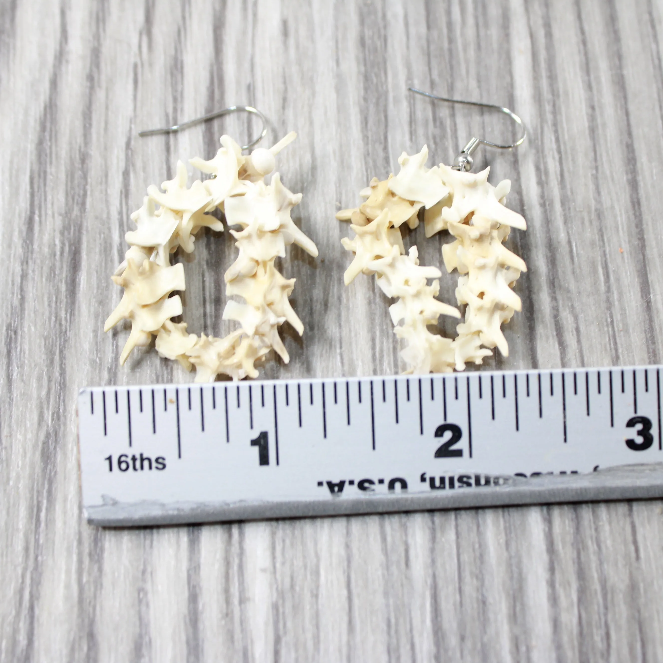 Rattlesnake Vertebrae Hoop Earrings  #4552  Mountain Man Earrings
