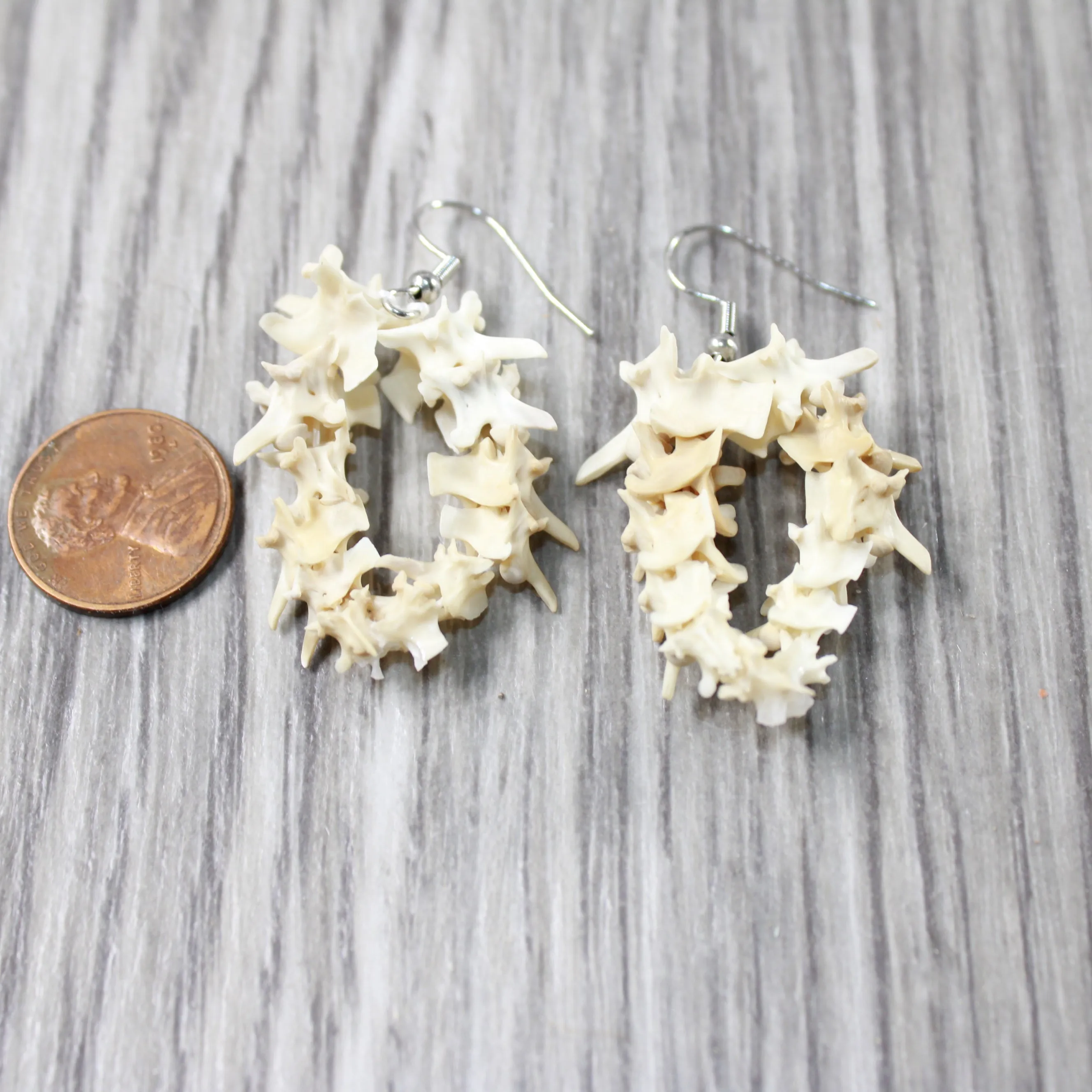 Rattlesnake Vertebrae Hoop Earrings  #4552  Mountain Man Earrings