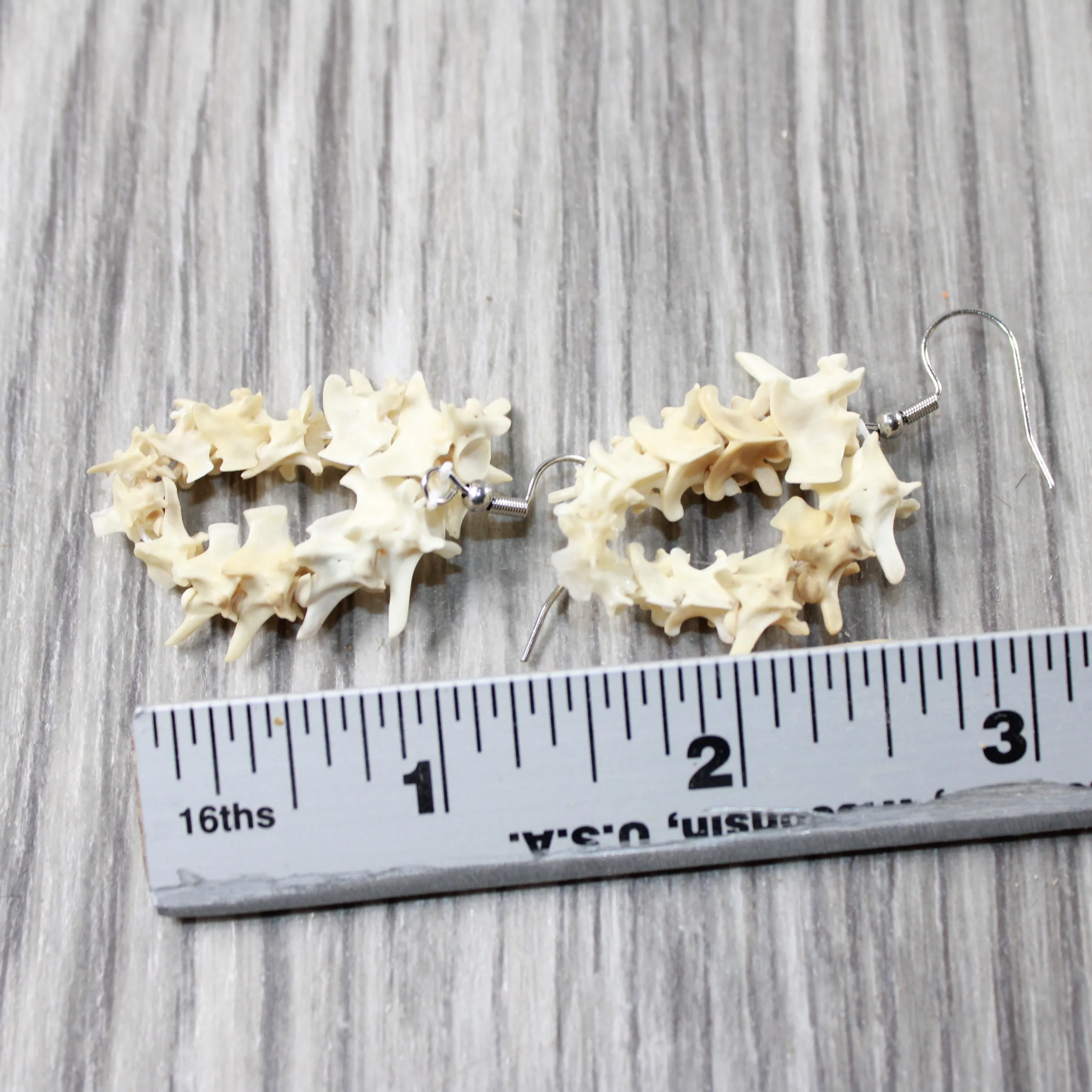 Rattlesnake Vertebrae Hoop Earrings  #4552  Mountain Man Earrings