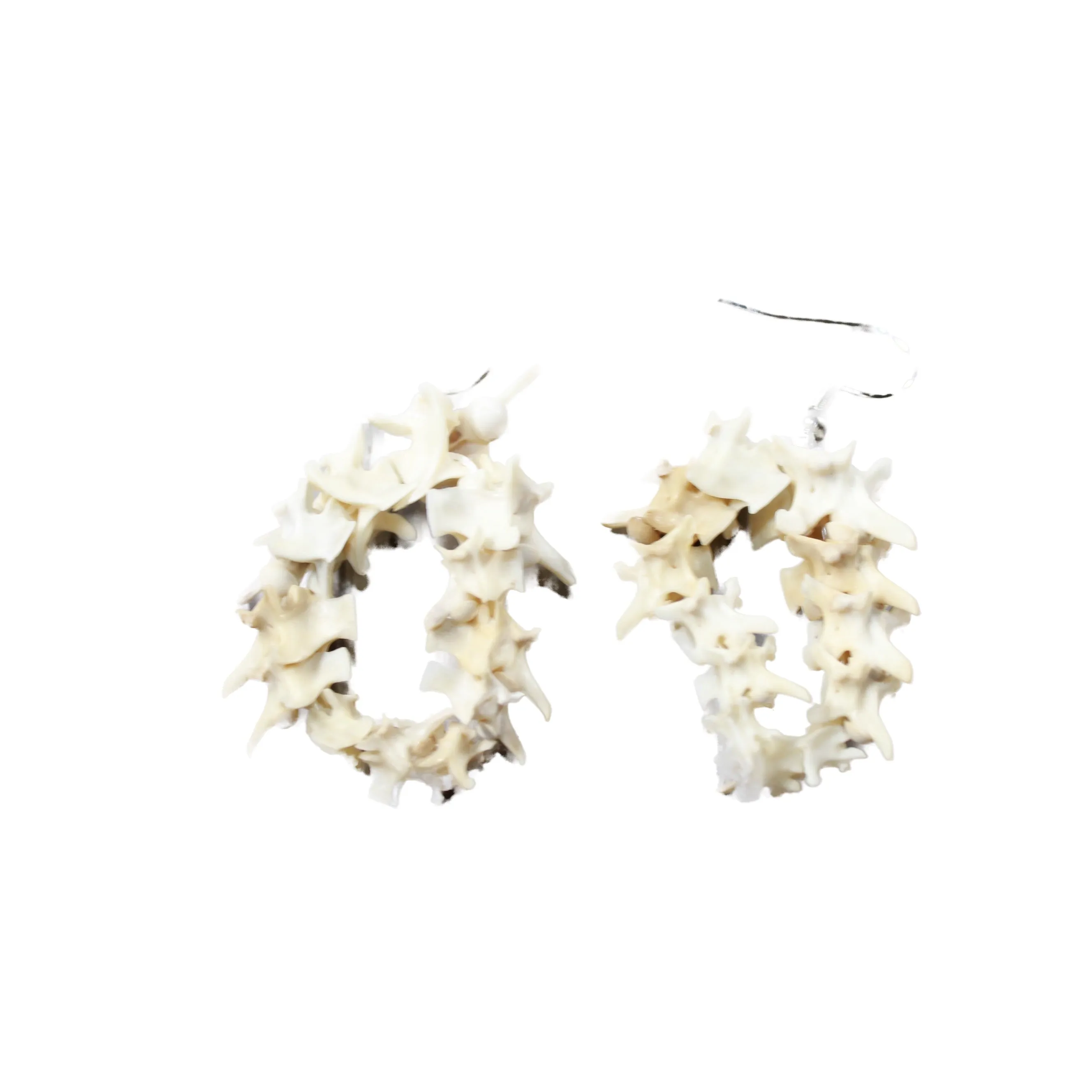 Rattlesnake Vertebrae Hoop Earrings  #4552  Mountain Man Earrings