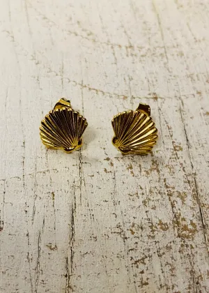 Scallop Shell Studs