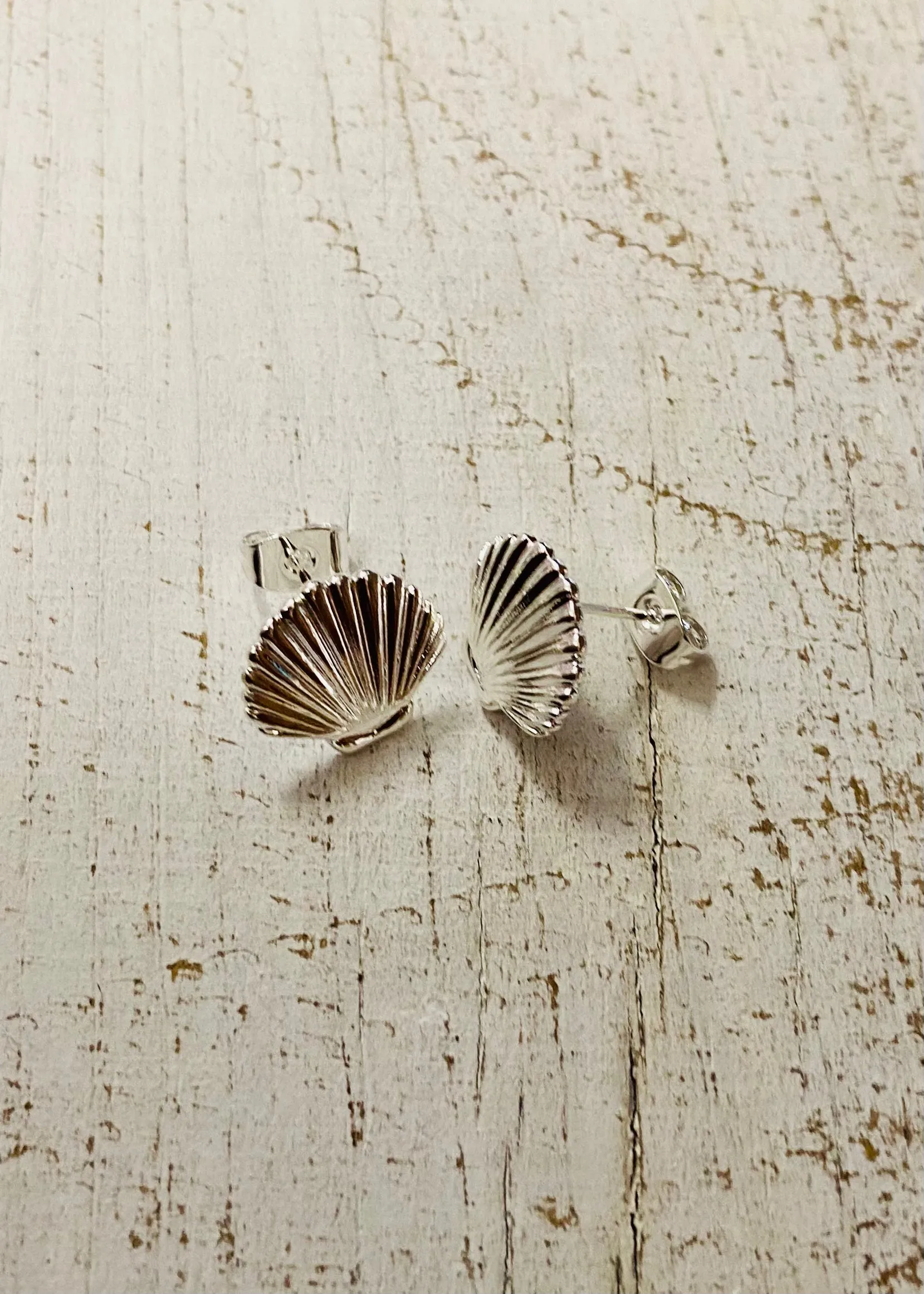 Scallop Shell Studs