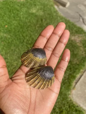 Sea Goddess earrings