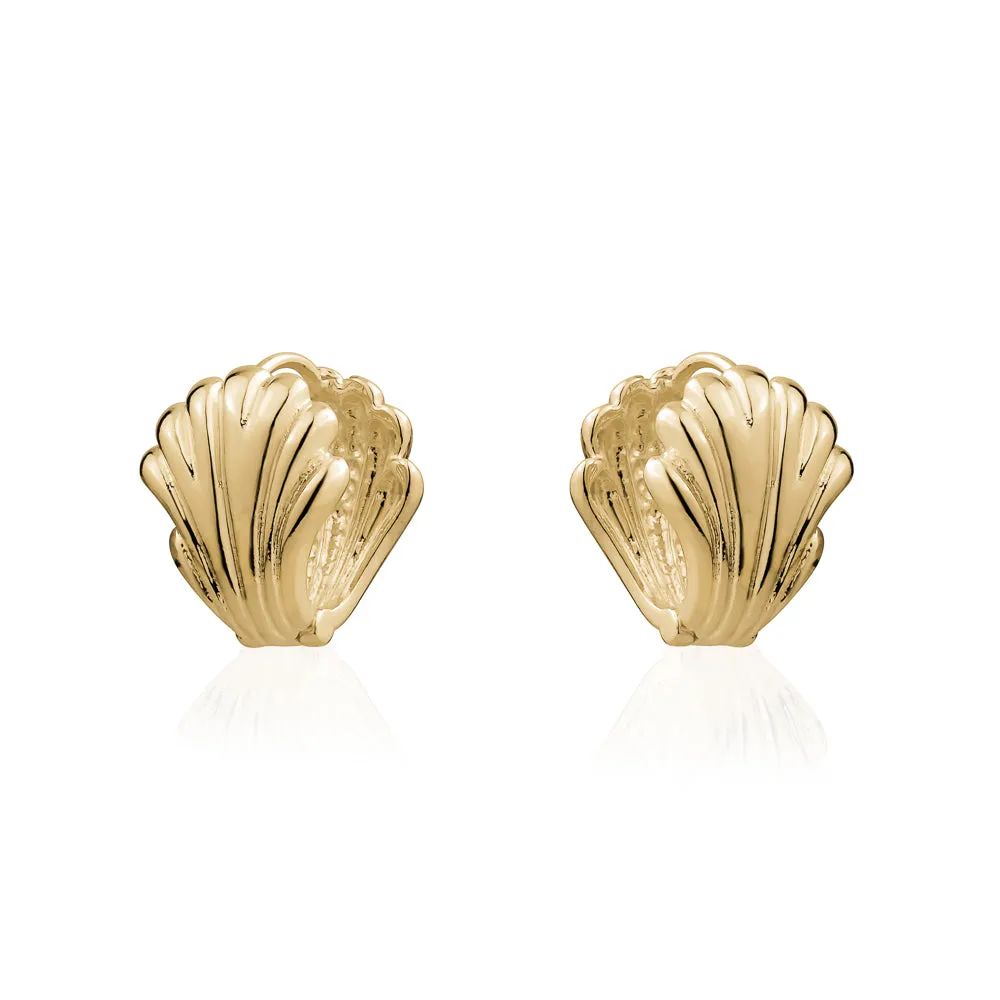 SEA SHELL METALLIC