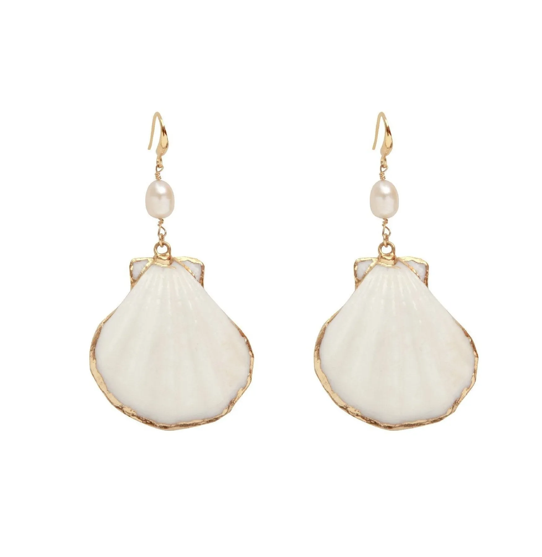 Seashell Earrings