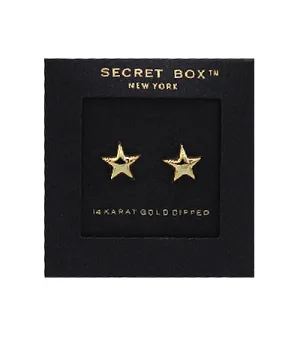 Secret Box Star Studs - 14 Karat Gold Dipped