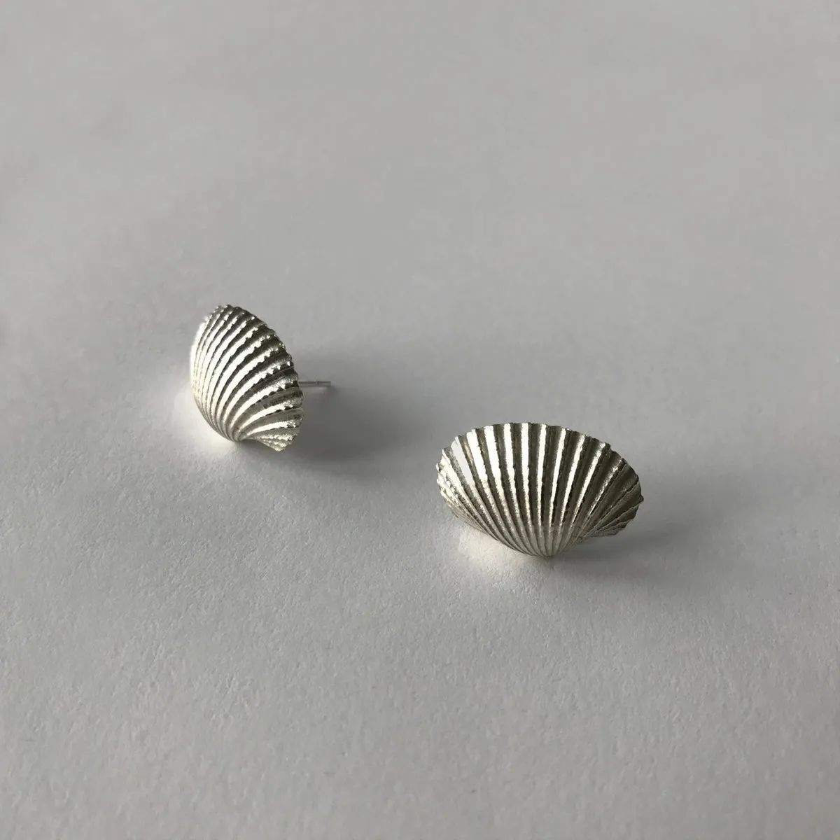 Shell Earrings