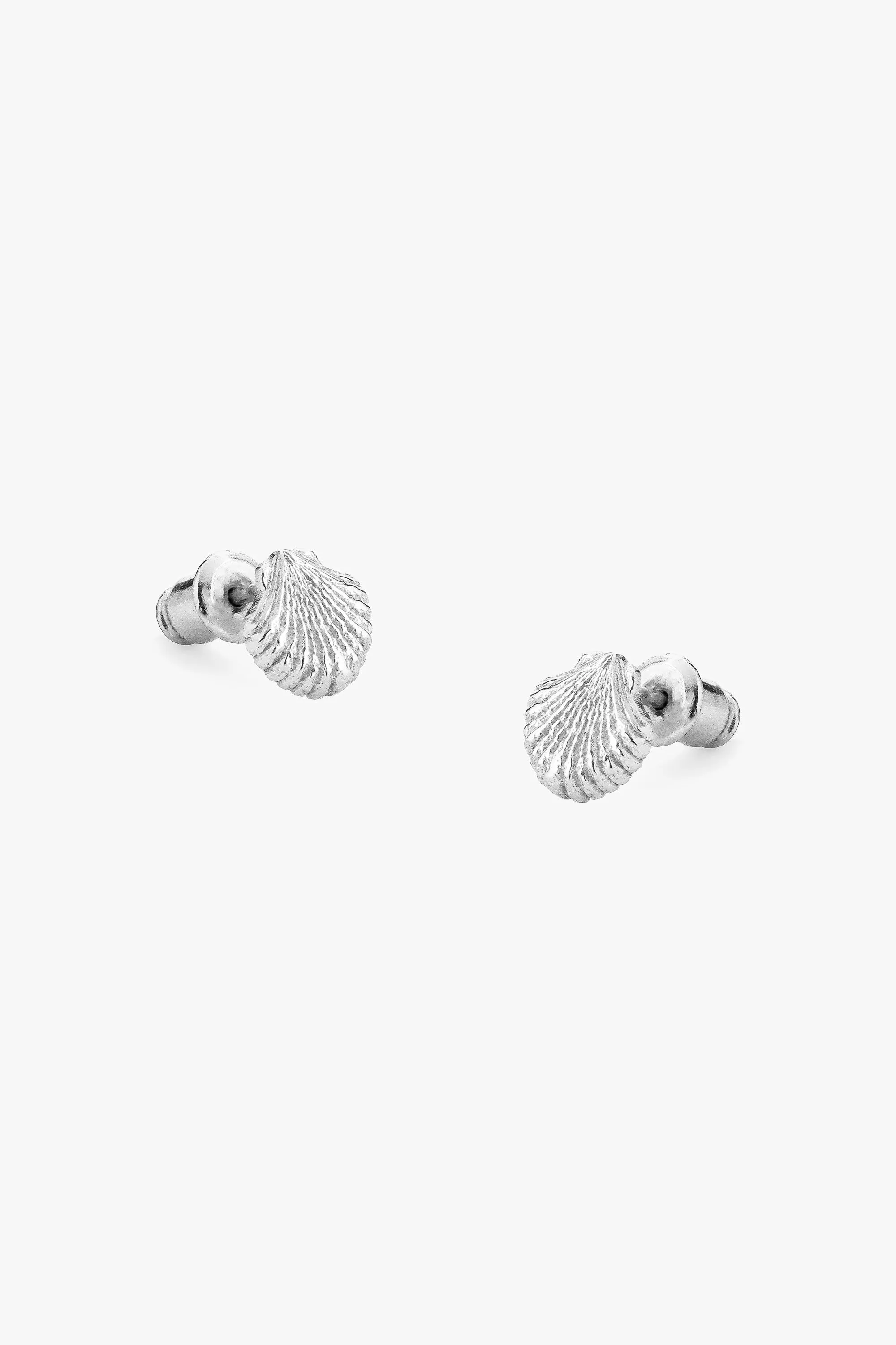 Shell Earrings