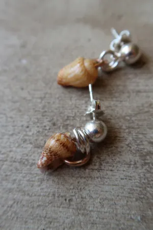 Shell Earrings