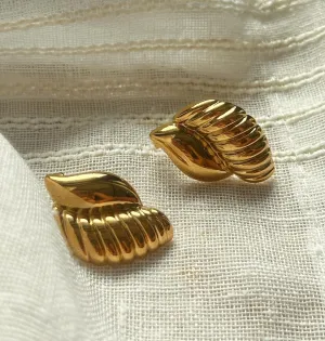 Shell Earrings