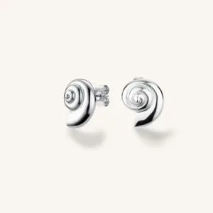 Shell Earrings