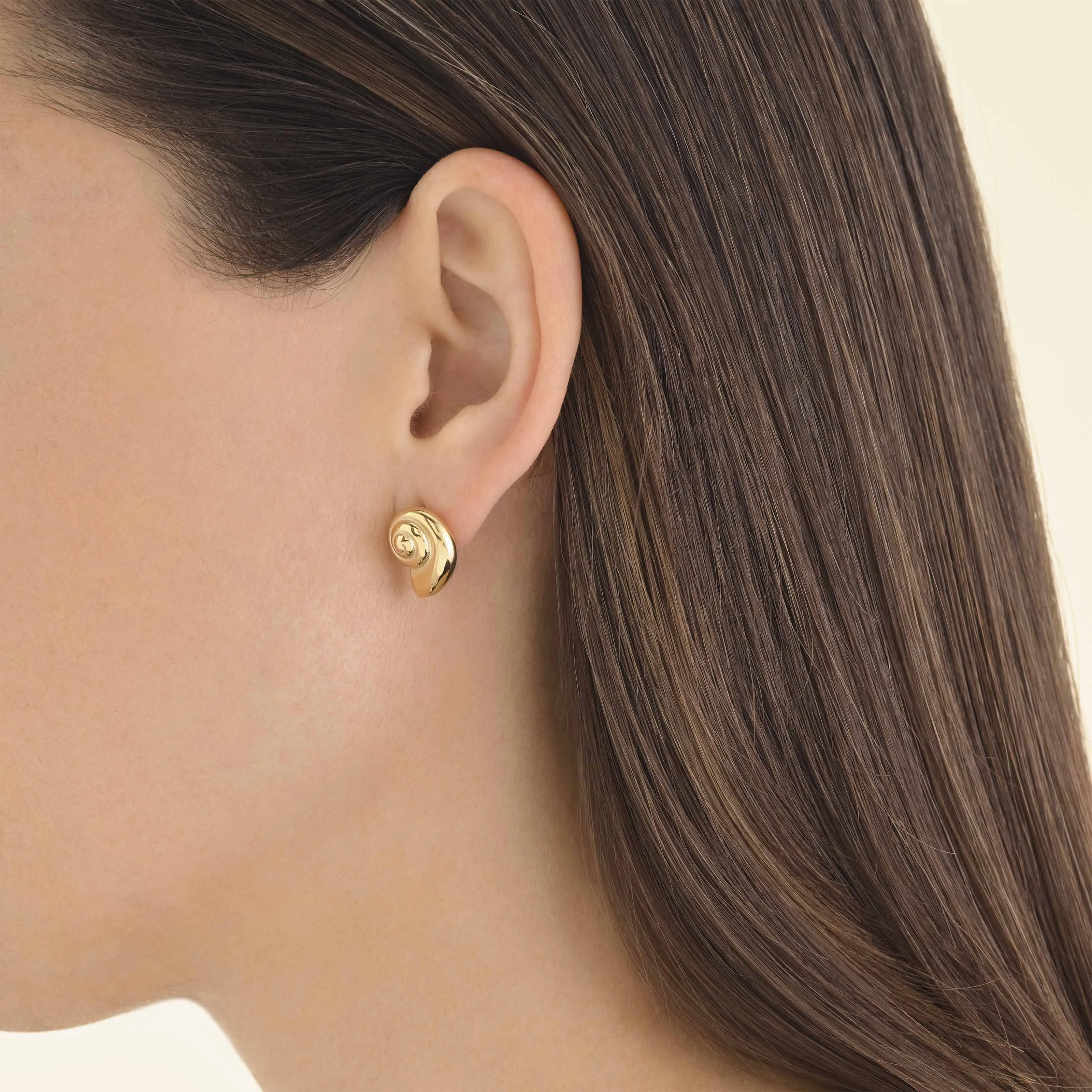 Shell Earrings