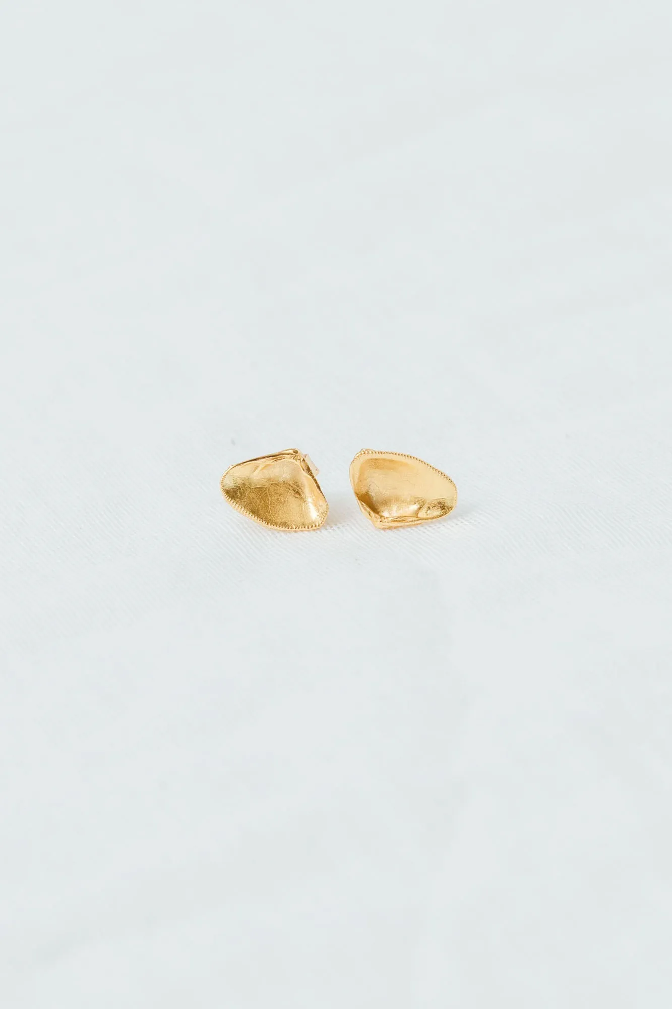 Shell Earrings